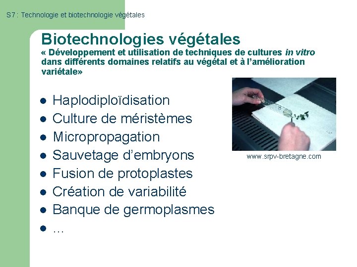 S 7 : Technologie et biotechnologie végétales Biotechnologies végétales « Développement et utilisation de