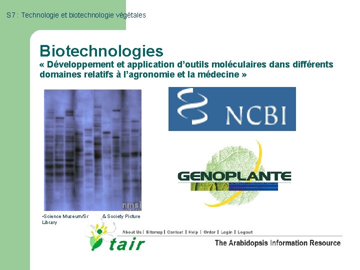 S 7 : Technologie et biotechnologie végétales Biotechnologies « Développement et application d’outils moléculaires
