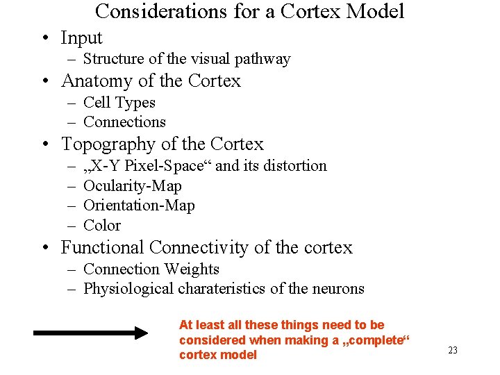 Considerations for a Cortex Model • Input – Structure of the visual pathway •