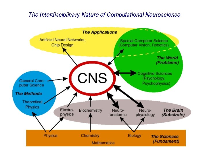 The Interdisciplinary Nature of Computational Neuroscience What is computational neuroscience ? 4 