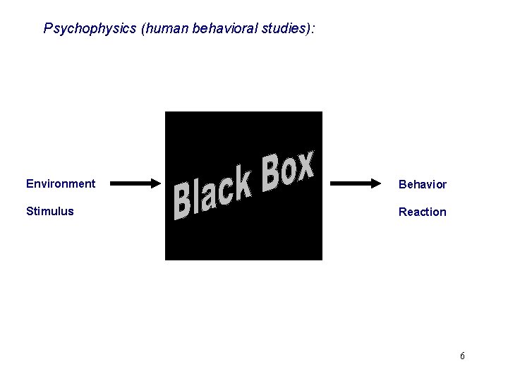Psychophysics (human behavioral studies): Environment Behavior Stimulus Reaction 6 