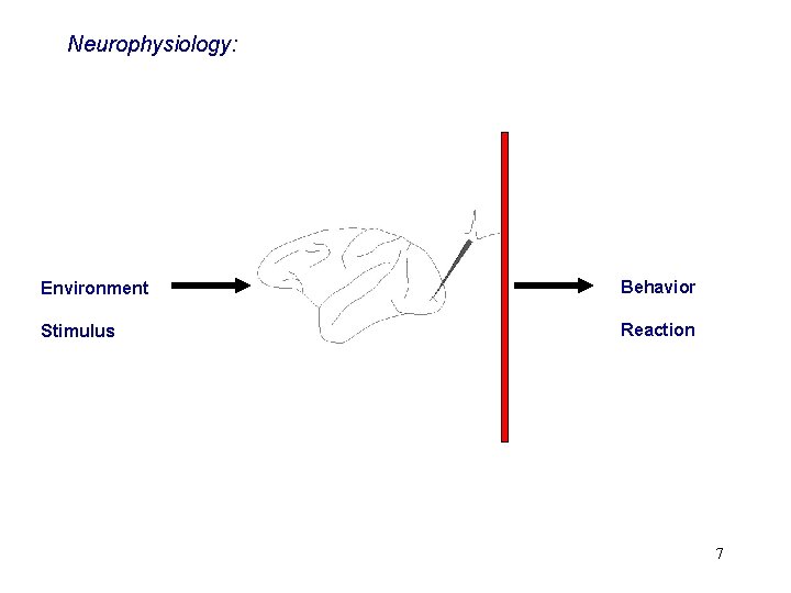 Neurophysiology: Environment Behavior Stimulus Reaction 7 