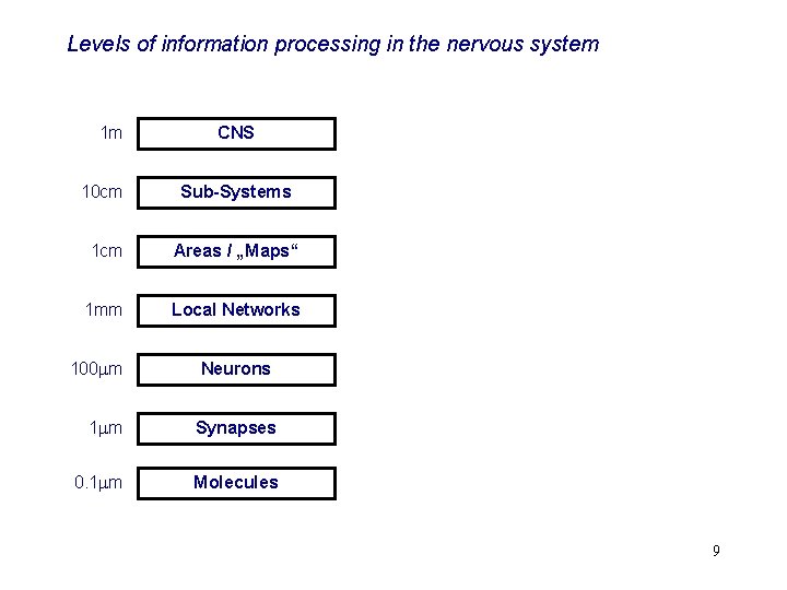 Levels of information processing in the nervous system 1 m CNS 10 cm Sub-Systems