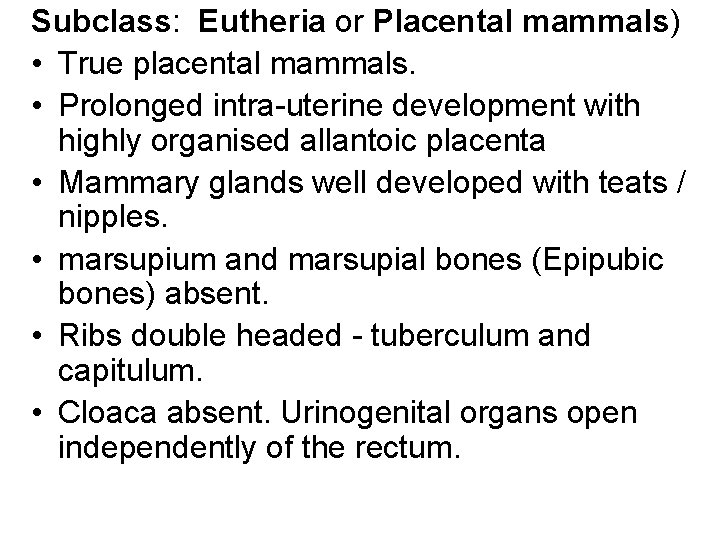 Subclass: Eutheria or Placental mammals) • True placental mammals. • Prolonged intra-uterine development with