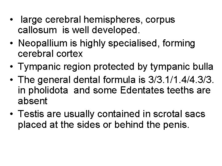  • large cerebral hemispheres, corpus callosum is well developed. • Neopallium is highly