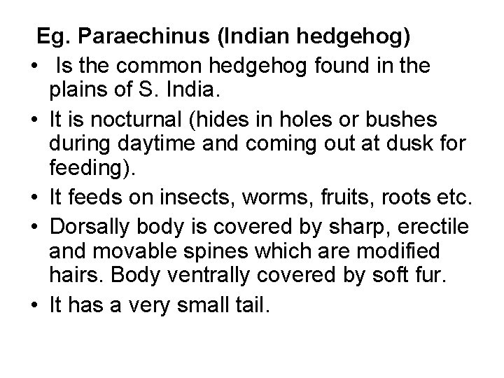 Eg. Paraechinus (Indian hedgehog) • Is the common hedgehog found in the plains of