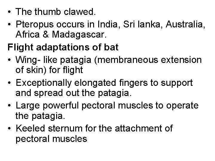  • The thumb clawed. • Pteropus occurs in India, Sri lanka, Australia, Africa