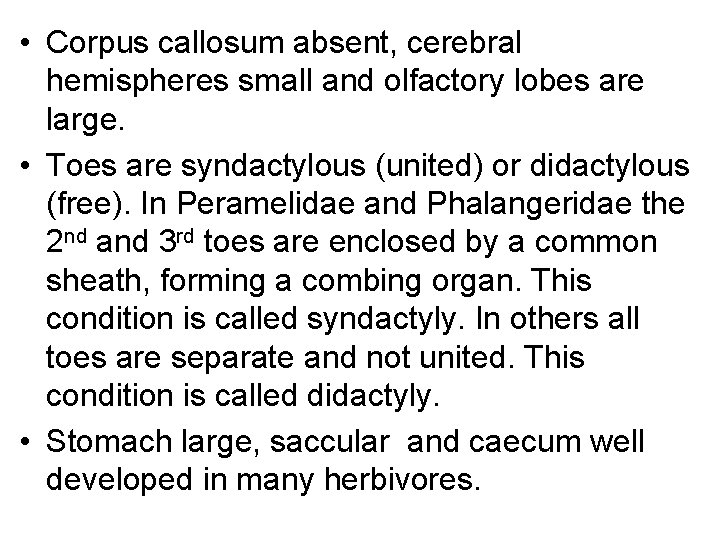  • Corpus callosum absent, cerebral hemispheres small and olfactory lobes are large. •