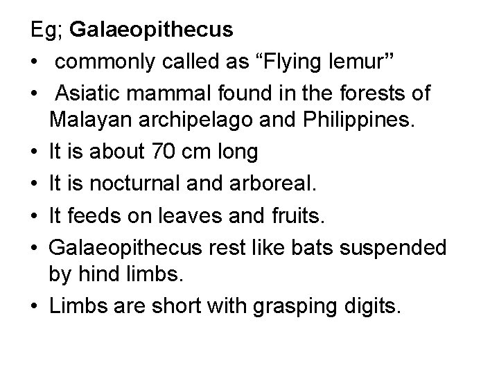 Eg; Galaeopithecus • commonly called as “Flying lemur” • Asiatic mammal found in the
