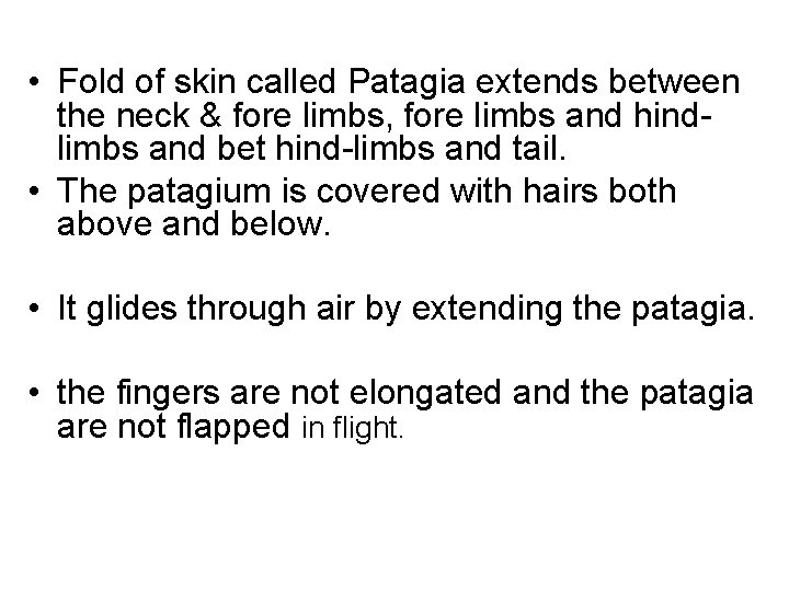  • Fold of skin called Patagia extends between the neck & fore limbs,