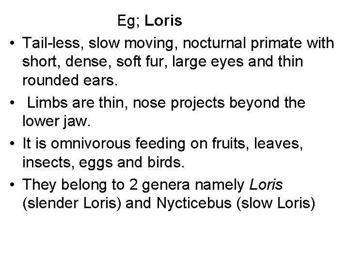  • • Eg; Loris Tail-less, slow moving, nocturnal primate with short, dense, soft