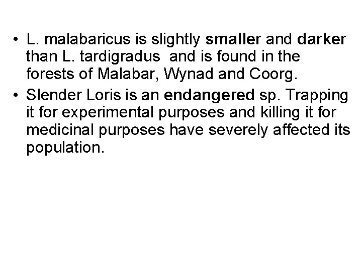  • L. malabaricus is slightly smaller and darker than L. tardigradus and is