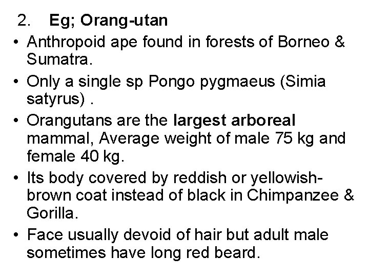 2. Eg; Orang-utan • Anthropoid ape found in forests of Borneo & Sumatra. •