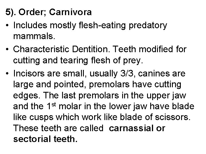 5). Order; Carnivora • Includes mostly flesh-eating predatory mammals. • Characteristic Dentition. Teeth modified