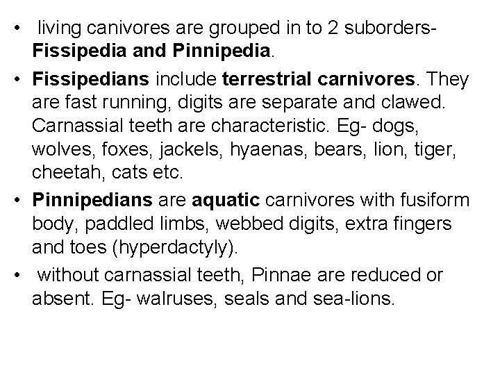  • living canivores are grouped in to 2 suborders. Fissipedia and Pinnipedia. •