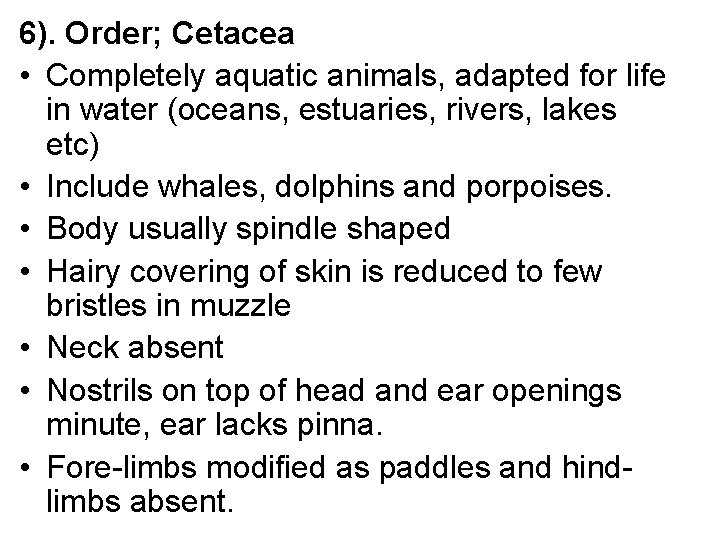 6). Order; Cetacea • Completely aquatic animals, adapted for life in water (oceans, estuaries,
