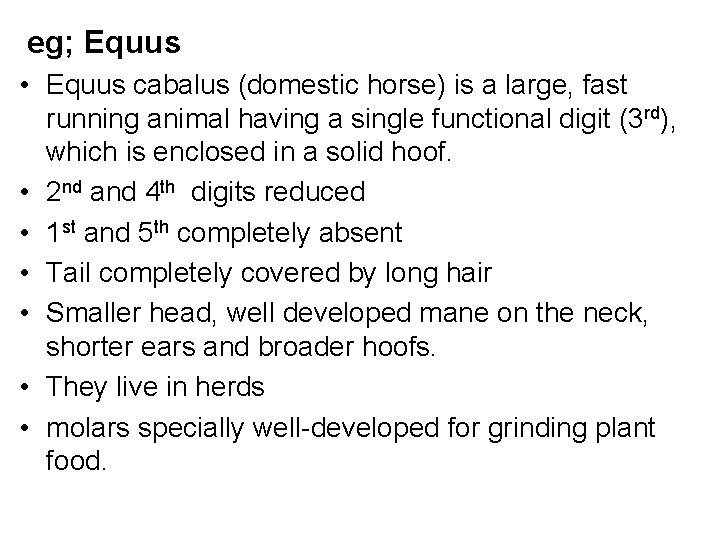 eg; Equus • Equus cabalus (domestic horse) is a large, fast running animal having