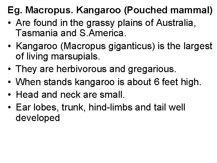 Eg. Macropus. Kangaroo (Pouched mammal) • Are found in the grassy plains of Australia,