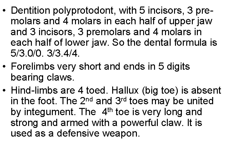  • Dentition polyprotodont, with 5 incisors, 3 premolars and 4 molars in each