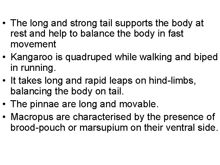  • The long and strong tail supports the body at rest and help