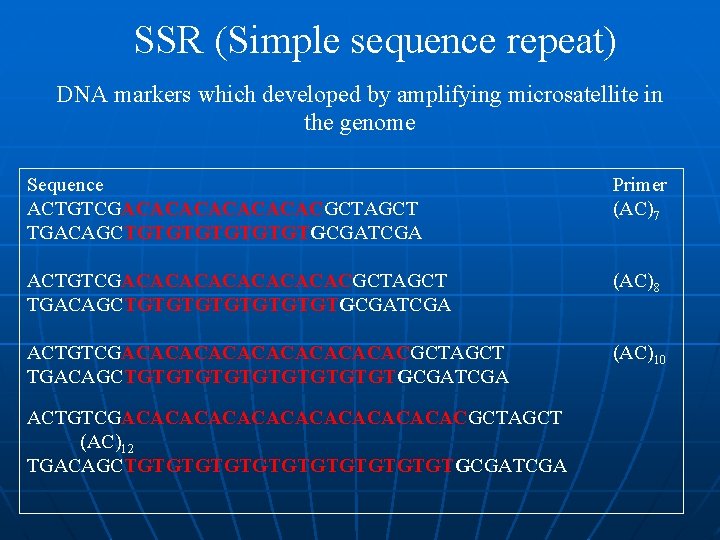 SSR (Simple sequence repeat) DNA markers which developed by amplifying microsatellite in the genome SSR (Simple sequence repeat) DNA markers which developed by amplifying microsatellite in the genome