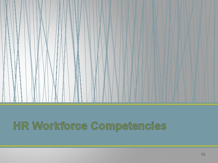 HR Workforce Competencies 13 