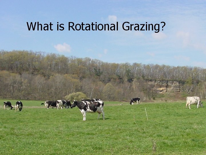 What is Rotational Grazing? 