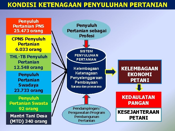 KONDISI KETENAGAAN PENYULUHAN PERTANIAN Penyuluh Pertanian PNS 25. 473 orang CPNS Penyuluh Pertanian 6.