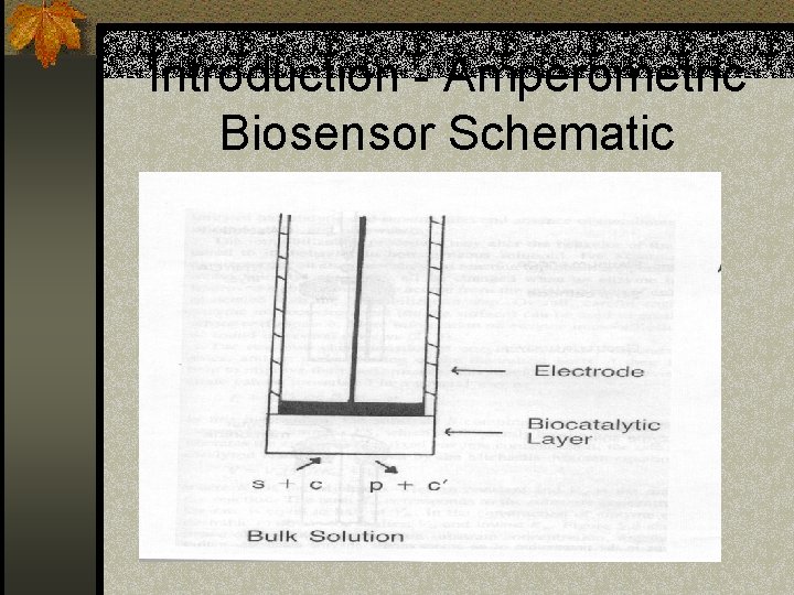 Introduction - Amperometric Biosensor Schematic 