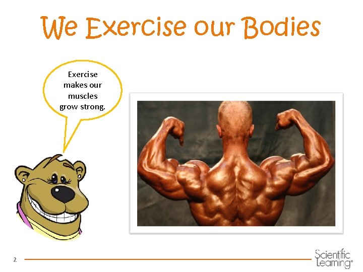We Exercise our Bodies Exercise makes our muscles grow strong. 2 