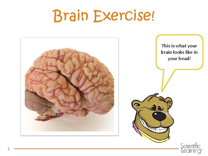 Brain Exercise! This is what your brain looks like in your head! 3 