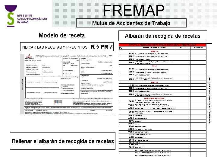 FREMAP Mutua de Accidentes de Trabajo Modelo de receta INDICAR LAS RECETAS Y PRECINTOS