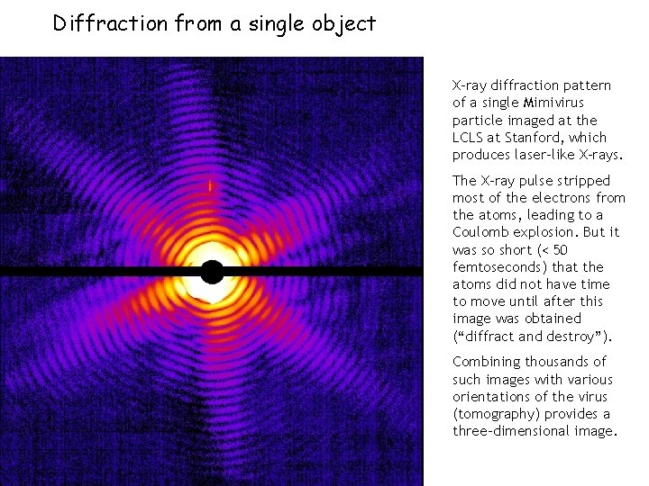 Diffraction from a single object X-ray diffraction pattern of a single Mimivirus particle imaged