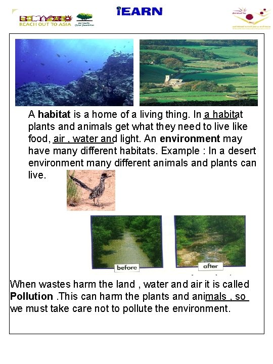 A habitat is a home of a living thing. In a habitat plants and