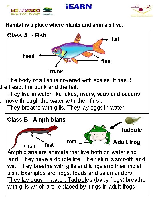 Habitat is a place where plants and animals live. Class A - Fish tail