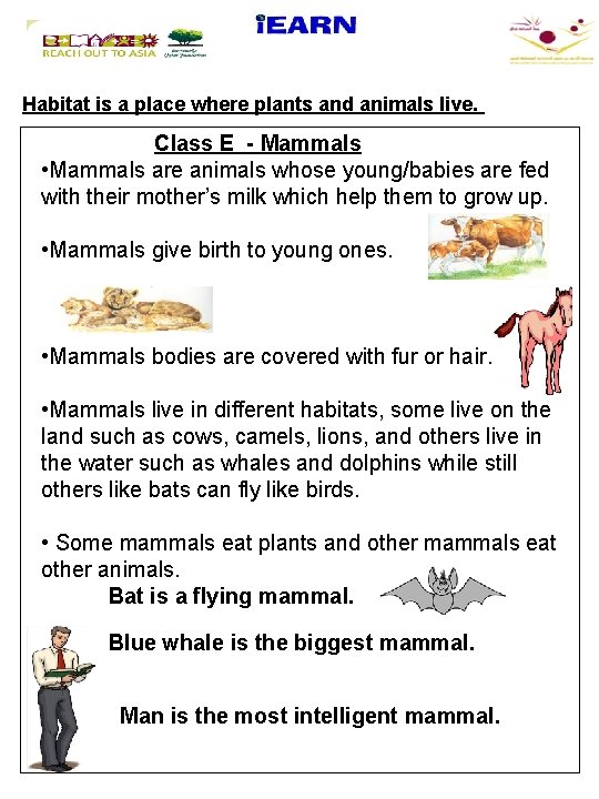 Habitat is a place where plants and animals live. Class E - Mammals •