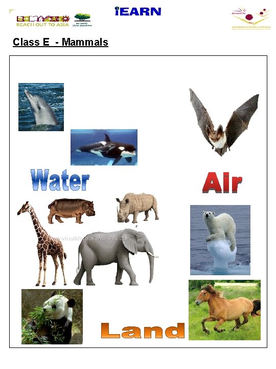 Class E - Mammals 