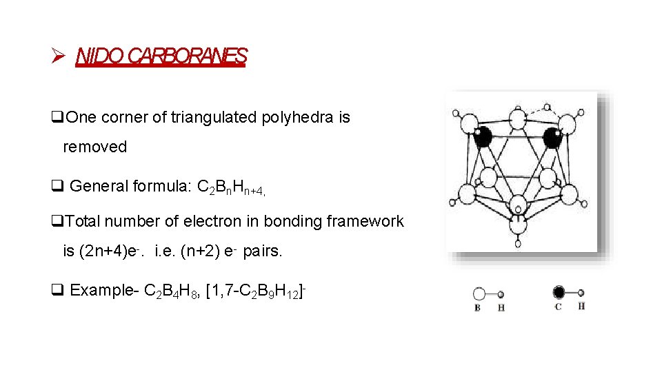  NIDO CARBORANES One corner of triangulated polyhedra is removed General formula: C 2