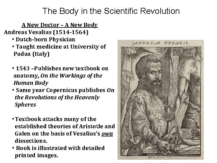 The Body in the Scientific Revolution A New Doctor – A New Body Andreas