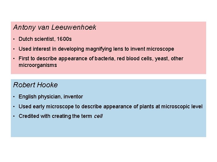 Antony van Leeuwenhoek • Dutch scientist, 1600 s • Used interest in developing magnifying