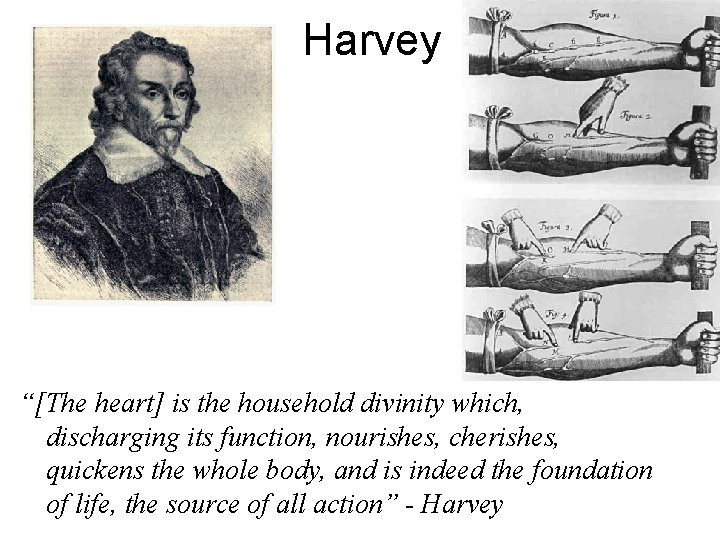 Harvey “[The heart] is the household divinity which, discharging its function, nourishes, cherishes, quickens