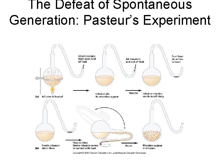 The Defeat of Spontaneous Generation: Pasteur’s Experiment 
