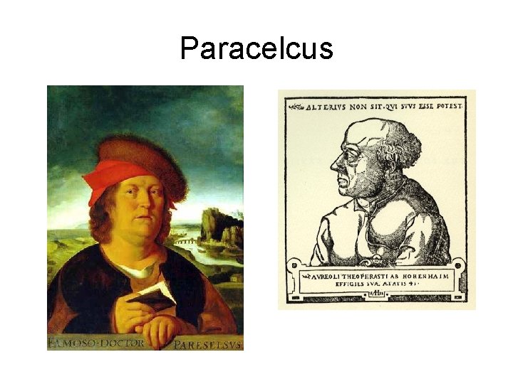 Paracelcus 