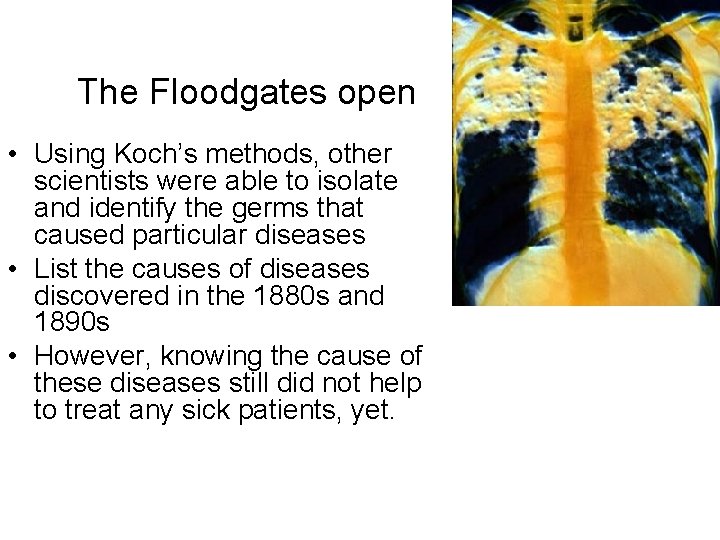 The Floodgates open • Using Koch’s methods, other scientists were able to isolate and
