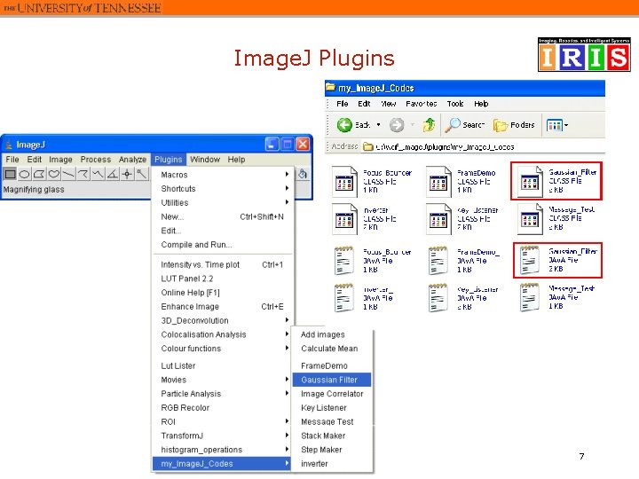 Image. J Plugins 7 