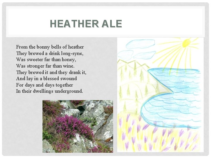 HEATHER ALE From the bonny bells of heather They brewed a drink long-syne, Was