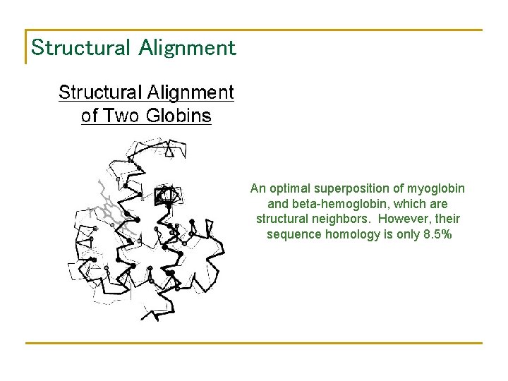 Structural Alignment An optimal superposition of myoglobin and beta-hemoglobin, which are structural neighbors. However,
