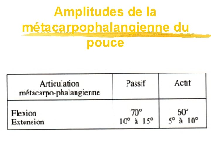 Amplitudes de la métacarpophalangienne du pouce 