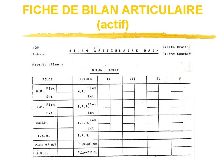 FICHE DE BILAN ARTICULAIRE (actif) 