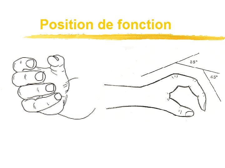 Position de fonction 